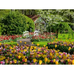 Ravensburger Puzzel keukenhof gardens 1000 stukjes