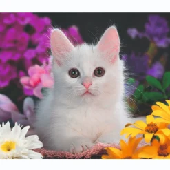 Ravensburger puzzel schitterend katje 100 xxl