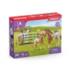Schleich 42433 Horse Club Lisa's Toernooi Training