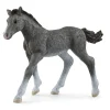 Schleich 13944 Trakehner Veulen