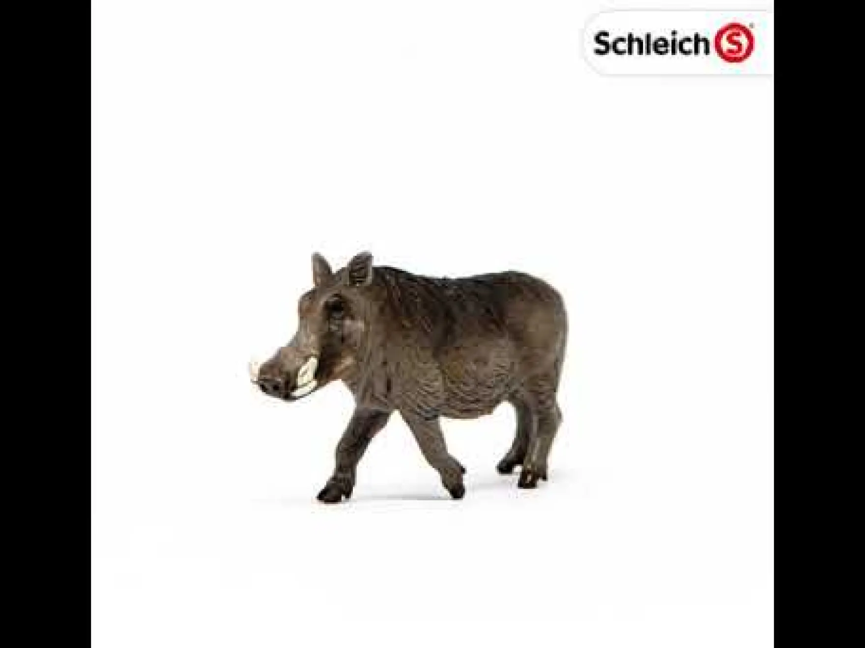 Schleich 14843 Wrattenzwijn