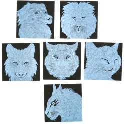 Scratch art met kleuren 7 delig 2 assorti