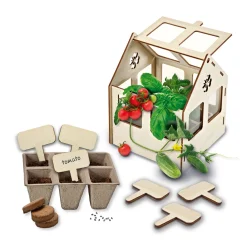 SES Broeikas Met Groenten