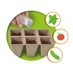 SES Broeikas Met Groenten