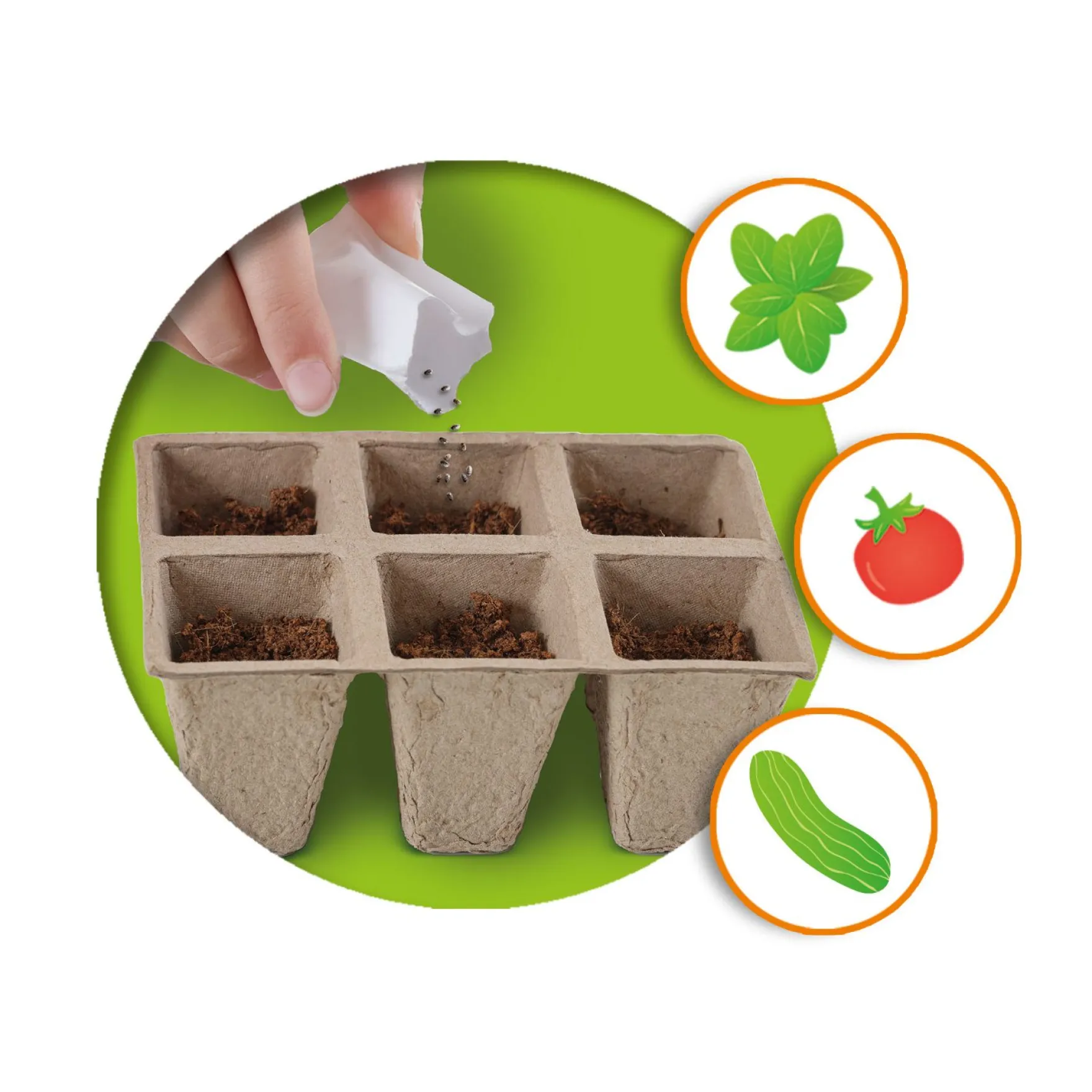 SES Broeikas Met Groenten