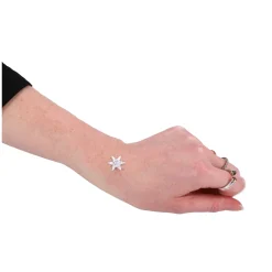 Small World Tattoo party in koffer