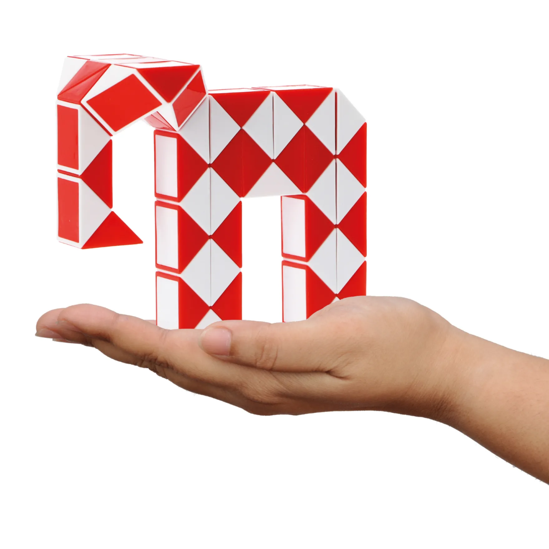 Spel Magische Slang 48 Delig Fidget