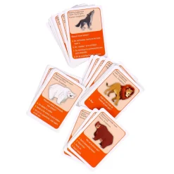 Spel Puzzel Ontdek De Wereld