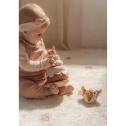 Tuimelstapelaar Fairy Garden