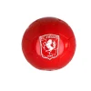 Voetbal FC Twente maat 5