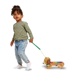 Vtech Baby Timmie Teckel Xylofoon