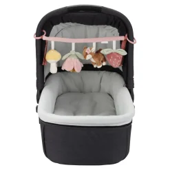 Wagenspanner Fairy Garden