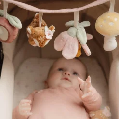 Wagenspanner Fairy Garden