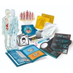 Wetenschap anatomie nl