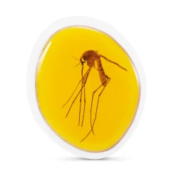 Zuru Robo Alive mega dino fossil find